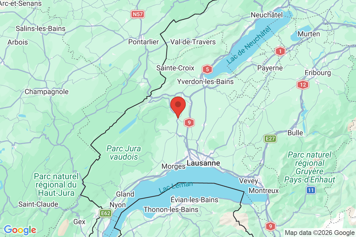 Prévisualisation de la carte