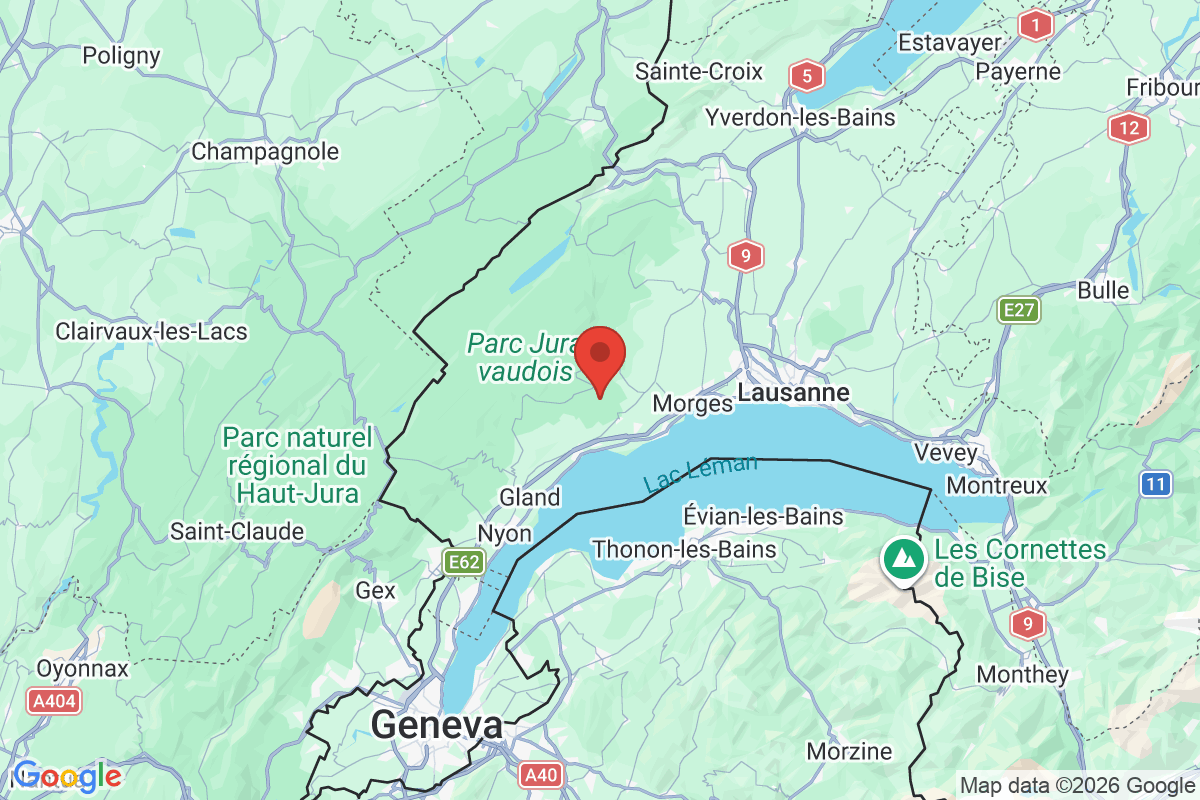 Prévisualisation de la carte